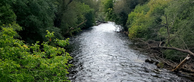 Tools for Managing Anxiety