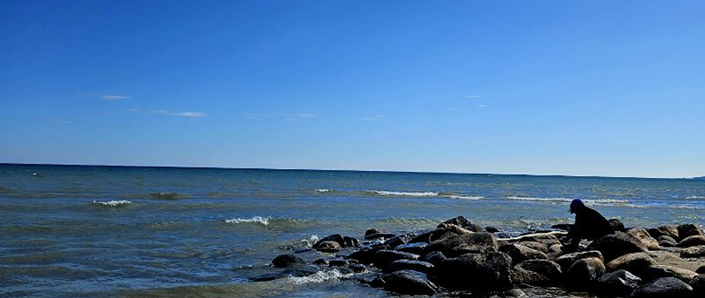 Understanding Trauma Recovery