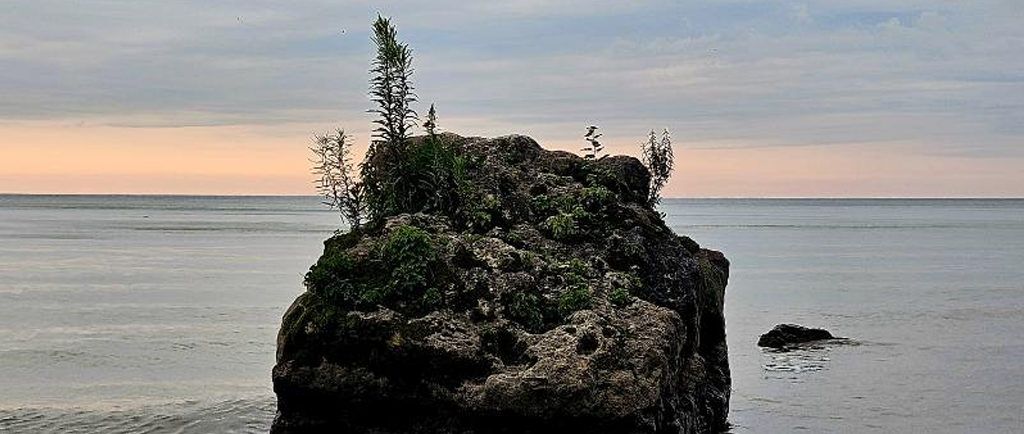 Trauma: Events & Recovery Process